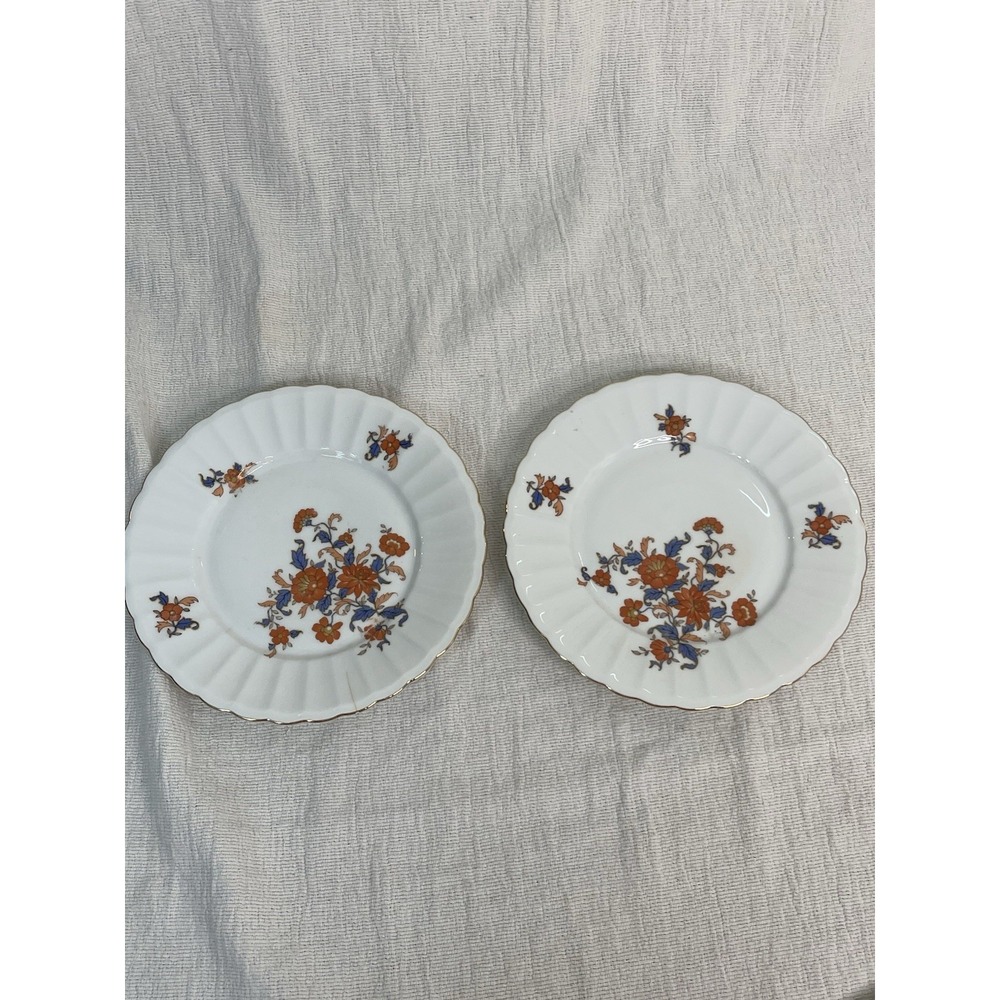 Wurttemberg Germany Plates Early 1900s Set of 2 Multicolor Floral Fluted Antique